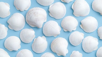 Wall Mural - White seashells pattern on blue background; summer, beach, ocean, vacation