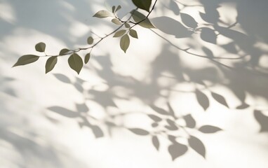  Sunlight, leaves, shadows, wall, nature, background, texture, design
