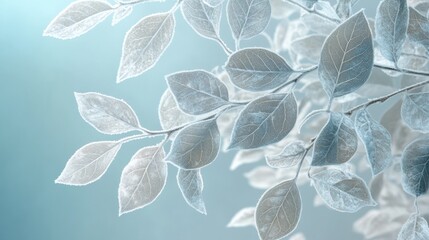 Poster - Delicate silver leaves with frosted edges creating a serene atmosphere in soft lighting