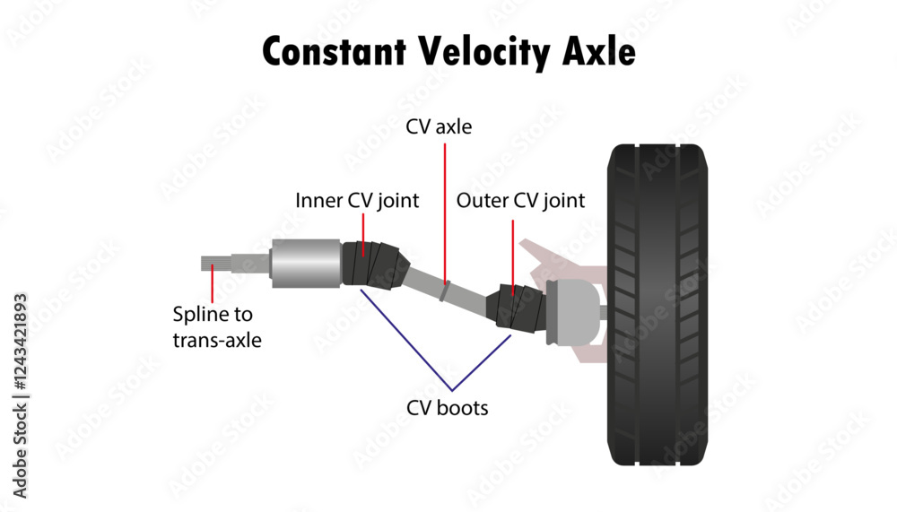 Diagram of the Car Constant Velocity axle (CV Joint) Stock Vector ...