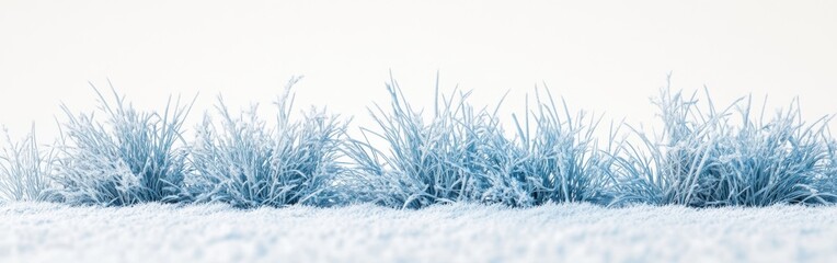 Fototapete - Minimalist icy blue grass creating a serene winter landscape under soft natural light