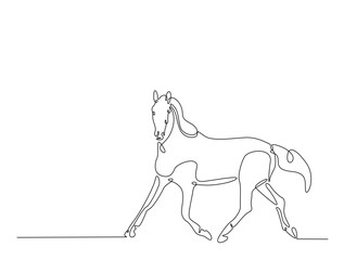 Wall Mural - Continuous line art drawing of beautiful wild horse. Running horse in single line art drawing vector illustration. Editable stroke.