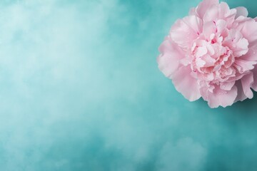 Poster - A single pink peony in full bloom with dew droplets rests against a blurred teal gradient background, creating a serene and elegant atmosphere with ample copy space