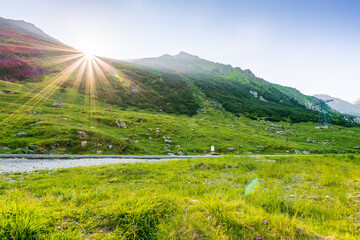 Wall Mural - mountain landscape at sunrise in summer. vacation season. scenery with green valley of fagaras ridge