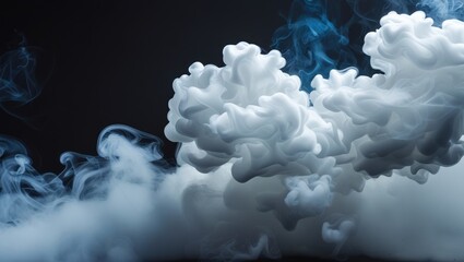 Canvas Print - Abstract white and blue smoke swirling against a black background creating a dramatic and artistic visual effect for creative projects.