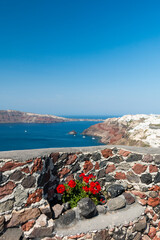 Wall Mural - Red geraniums grow in a rock wall overlooking the Santorini caldera