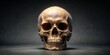© kanda - Realistic Human Skull on Dark Background with Dramatic Lighting