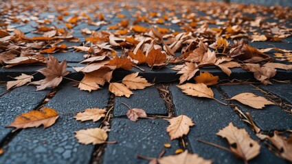 Canvas Print - Autumn leaves scattered on pavement creating a natural carpet of orange and brown hues in a serene outdoor setting.