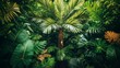 © Chaithat - Lush Tropical Rainforest Exploration Nature Paradise Vibrant Greenery Dense Habitat Eye-Level Perspective Biodiversity Awareness