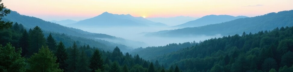 Wall Mural - Serene forest with misty mountains in the background, trees, forest