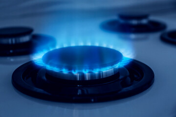 Wall Mural - Gas burner with blue flame on stove, closeup