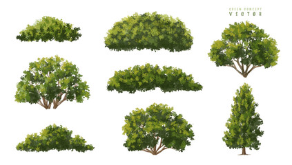 Wall Mural - vector watercolor green tree or shrub side view isolated on white background for landscape and archi