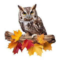 Wall Mural - Owl on Log with Colorful Autumn Leaves  
