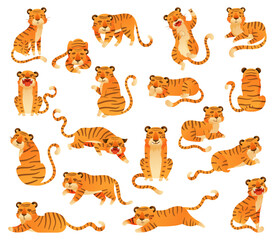 Wall Mural - striped tiger animal in different pose vector set