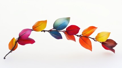 Wall Mural - A close-up shot of a colorful leaf branch, suitable for nature or design use