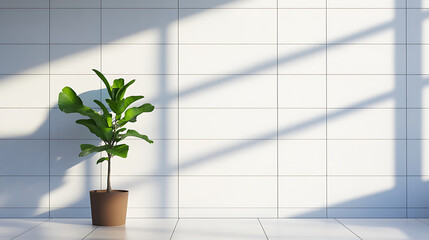 Wall Mural - Potted plant in sunlight by large window, casting shadows on tiled wall in minimalist interior.