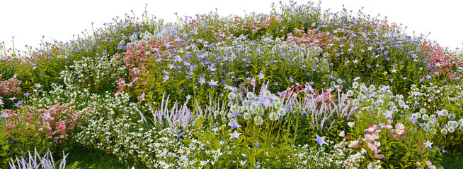 Wall Mural - 3D render of many kinds of flower fields on a hill with transparent background.