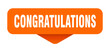 © BHM - congratulations sticker. congratulations sign on transparent background