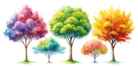 autumn tree watercolor painting