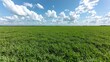 © BROPRADANA - Lush green field under a blue sky with fluffy clouds; idyllic rural landscape, perfect for nature backgrounds