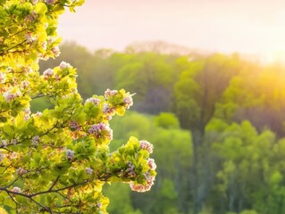 Wall Mural - Vibrant spring landscape with blooming tree branches in soft sunlight, featuring lush green foliage and warm golden tones, capturing the essence of seasonal renewal and nature concept