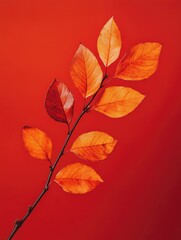 Wall Mural - Red Leaves on Branch