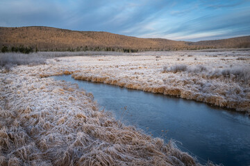 Wall Mural - USA, West Virginia, Canaan Valley State Park. Sunrise on frosty winter landscape with icy stream.