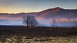 © Don - End of day for prescribed burn