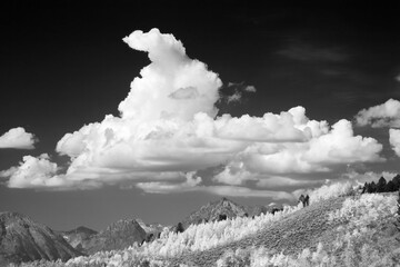 Wall Mural - Wyoming, Grand Teton National Park. Teton Range with aspen trees and clouds