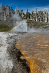 Wall Mural - USA, Wyoming. Grand Geyser eruption, Yellowstone National Park.