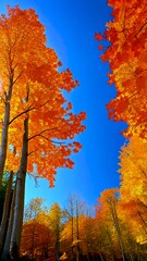 Wall Mural - vibrant autumn colors in a serene forest setting