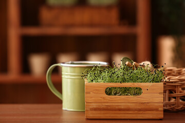 Wall Mural - Wooden box with fresh micro green on table