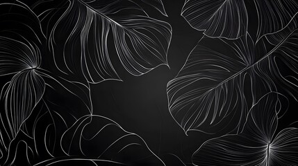 Abstract simple background with monstera leaves line arts
