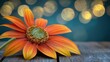 © koya - Orange flower on wood, bokeh lights, autumn feel, greeting card