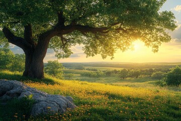 Wall Mural - Sunlit meadow with blooming flowers under a majestic tree at sunset