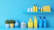 © Pannee - A bright laundry room featuring a dedicated shelf with various cleaning detergents.