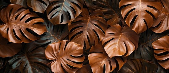 Aufkleber - Brown and green monstera leaves arranged in a flat lay style create a rich, textured background with intricate cutouts and varying shades of color.
