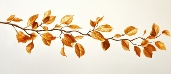 Poster - Autumn leaves in warm golden hues drape from a slender branch against a soft beige background, embodying nature's vibrant seasonal beauty.