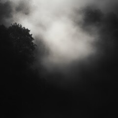Wall Mural - Black and white photo of a foggy forest with abstract gradients and zen-like atmosphere
