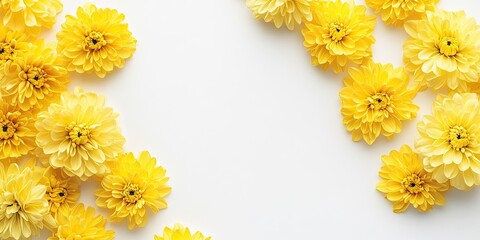 Sticker - Bright yellow chrysanthemum flowers arranged on a white background, creating an inviting flat lay with ample negative space for text.