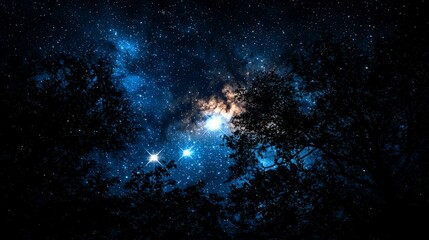 Fototapete - Constellations shining brightly in the night sky under a canopy of trees cosmic wonder serene forest close-up view