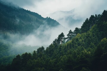 Canvas Print - Misty Mountain Forest Landscape, Clouds, Nature, Travel