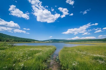 Wall Mural - Calm lake, wildflowers, mountains, sunny sky, tranquil nature scene