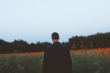 Wall Mural - A Peaceful Moment in a Flower Field