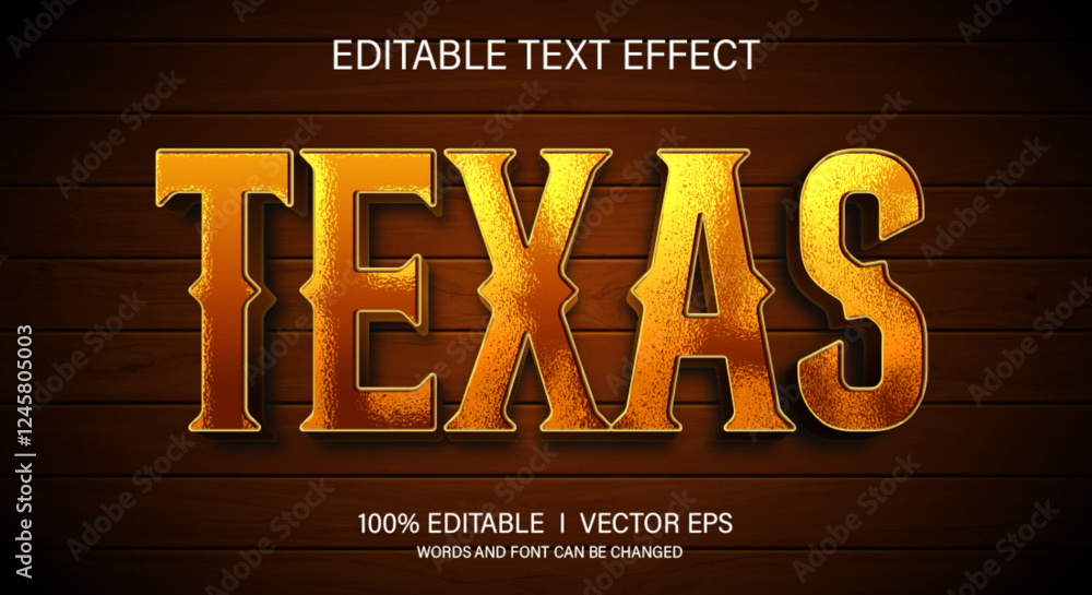 texas 3d vector text effect with modern style design Stock Vector ...