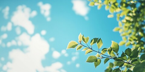 Aufkleber - Vibrant clear blue sky with scattered white clouds above softly blurred green leaves on branches in the lower corners creating a tranquil summer vibe