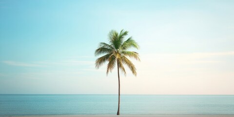 Aufkleber - Lonely palm tree on serene beach with calm turquoise ocean and pastel sky, positioned center against expansive horizon and soft sunlight.