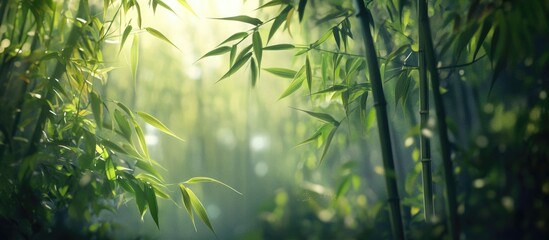Wall Mural - lush bamboo forest background with soft light and textured greenery creating a serene natural atmosp