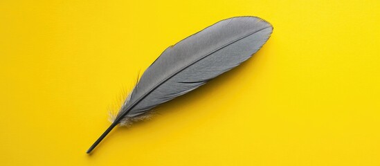 Wall Mural - gray bird feather on vibrant yellow background illustrating nature's beauty and texture in minimalis
