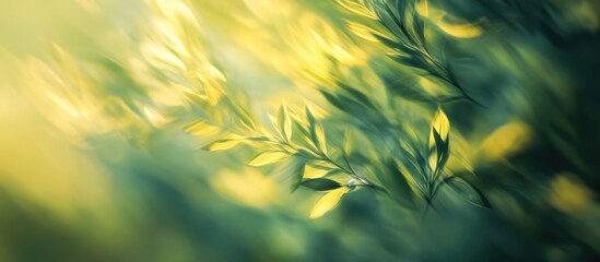Wall Mural - serene abstract nature background featuring blurred green and yellow leaves, evoking a tranquil spri